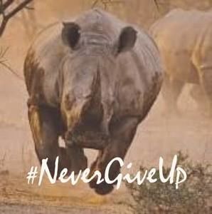 Meet your Posher, Seanacy